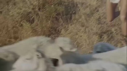 Jakub Człowiek, który walczył z Bogiem (1963) 2