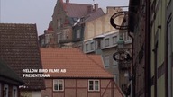 Wallander SE - Sezon 1 Odcinek 10