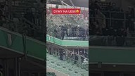 Nieudana kradzież szalika