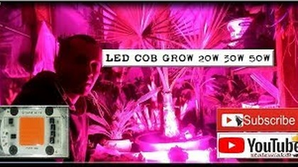 Odc360-Cz. Nr. 2- Doświetlanie roślin led cob 20w 30w 50w.  Czy się sprawdzą? CDN