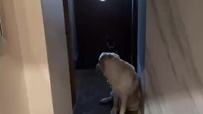 Jedziemy do Koników i Przyjaciół.