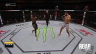 Dominick Reyes vs.  Jared Cannonier UFC 247