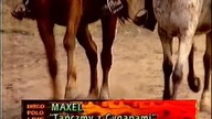 Maxel - Tańczmy z cyganami