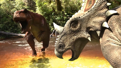 Przygody dinozaurów Ceratopsów