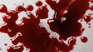 Mistrzowie horroru S02E02 lektor pl