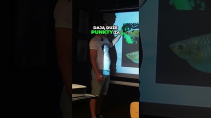 Tajemnice Zwycięskiego Koloru Ryb na Konkursach