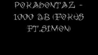 POKAHONTAZ 1000 DB