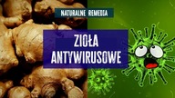 Poznaj te silne zioła antywirusowe! pomogą Ci zwalczyć!
