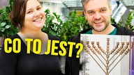 Sprawdziliśmy co Polacy wiedzą o religii!