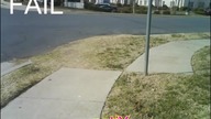 Janusze budownictwa