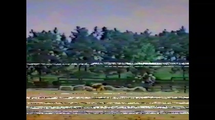 Nocny Myśliwy .  VID-1710865032660 2693