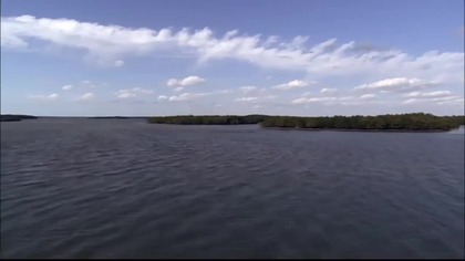 INVASION 18.  (2005)