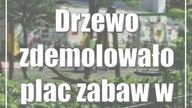 Drzewo zdemolowało plac zabaw w centrum Lublina