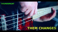 Wojtek Bass Cover - Thundercat / Them Changes (PSZEZTER STUDIO)