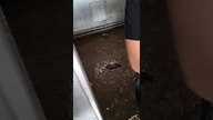 Hala Pogoni Prudnik po powodzi