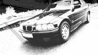 Ślimak vs BMW
