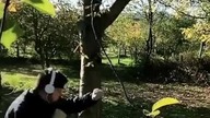 KASJUSZ DON KASJO ŻYCIŃSKI W FORMIE PRZED FAME MMA! *OSTRO TRENUJE!*