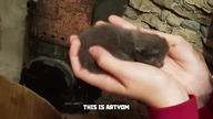 Life of Artyom
