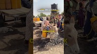Ciężkie warunki życia dzieci w Czadzie 