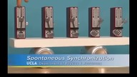 Spontaneus synchronization