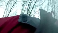 Śnieg w Koszalinie! Napadało! Spacer w lesie ze świeżym śniegiem Q&A z Sharpem i Sarmatą! Dyskusje!