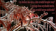 świadectwo - Doktorek