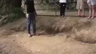 Bujamy sie na linie