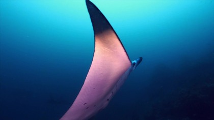 Woda najdziwniejszy z płyn&oacute;w