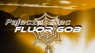 Fluor GOB PajęczaSieć