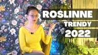 Roślinne trendy 2022  Jakie rośliny i dekoracje roślinne będą modne w 2022 roku ? 