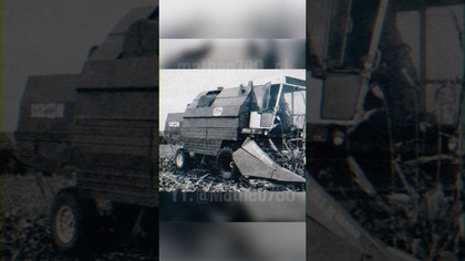 Kombajny Bizon w kukurydzy #matheo780