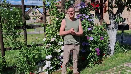 Clematisy i klucie kurczaków, siano i kanarki #Garden kuRaż 28. 05. 2026