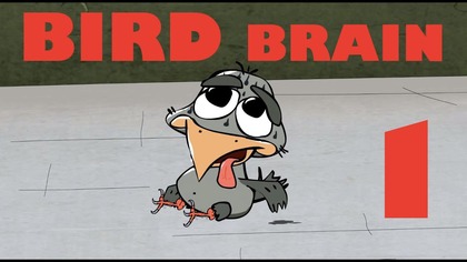 BIRD BRAIN (HD), EPISODE 1