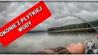 OKONIE JESIENIĄ Z PŁYTKIEJ WODY z @eMeLPIKETIME / październik 2020