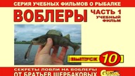 Воблеры, часть 1  Выпуск № 10