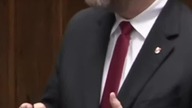  Grzegorz Braun: Obywatel TALMUDYSTĄ EUROKOŁCHOZOWYM?