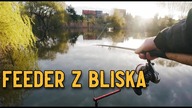 JEDZIEMY ROWEREM NA RYBY - Zabawa z feederem jak za dawnych lat