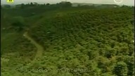 205- Kiedy będziesz moja.  PL