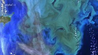 ARD Alpha 20. 11. 2024