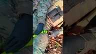 Opaska Uciskowa PAX  Narzędzie w Ratownictwie - trening w warunkach polowych