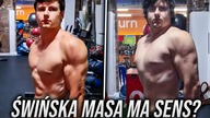 Czy ŚWIŃSKA MASA Ma Sens?