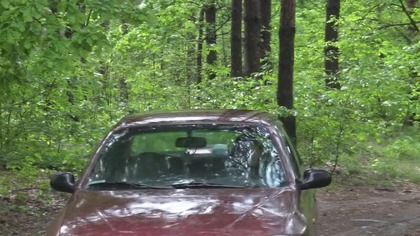 Gadzina węgorz i leszcze podczas deszczowej nocki / Wilcza Wola, wędkarstwo gruntowe