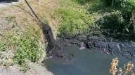 VID 20220814 WA0003