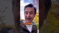 Co ma Zagłoba do koktajlu i jak było naprawdę cock-tail, czy cock-tells? | Mój Bar