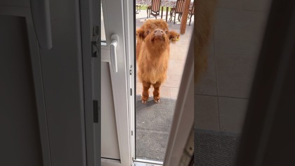 Spokojnych, zdrowych i rodzinnych Świąt Niech będą proste, dobre i prawdziwe  jak życie nawsi