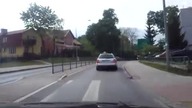 Nietypowy sposób na przewóz swojego pupila