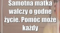 Samotna matka walczy o godne życie.  Pomóc może każdy