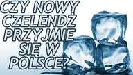 Nowy trend z Instagrama! Czy przyjmie się w Polsce?