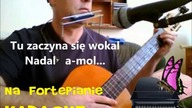 Na Fortepianie - Karaoke akordy, chwyty gitarowe