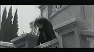 Ex-VoTo - If I Never
